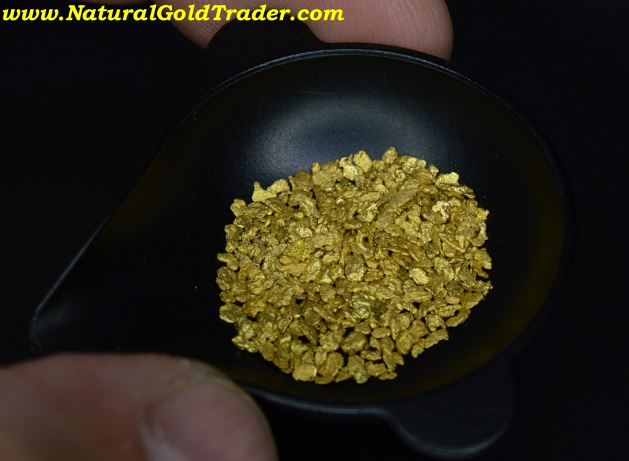 3.23 Grams of North Carolina Placer Gold
