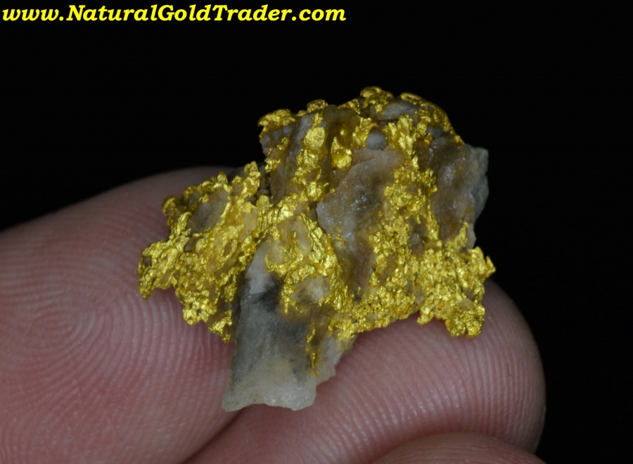 8.37 Gram Mariposa California Gold & Quartz