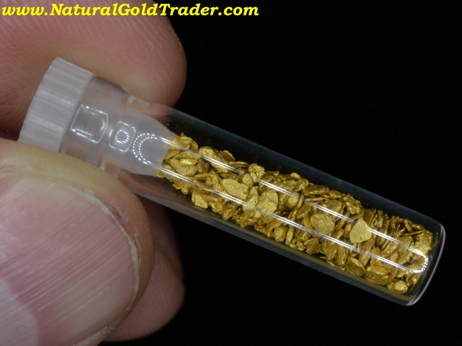 2.72 Gms Feather River California Gold Pickers