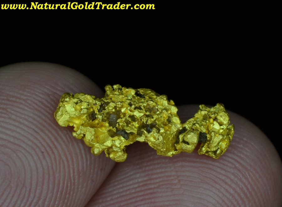 2.02 Gram Kingman Arizona Gold Nugget
