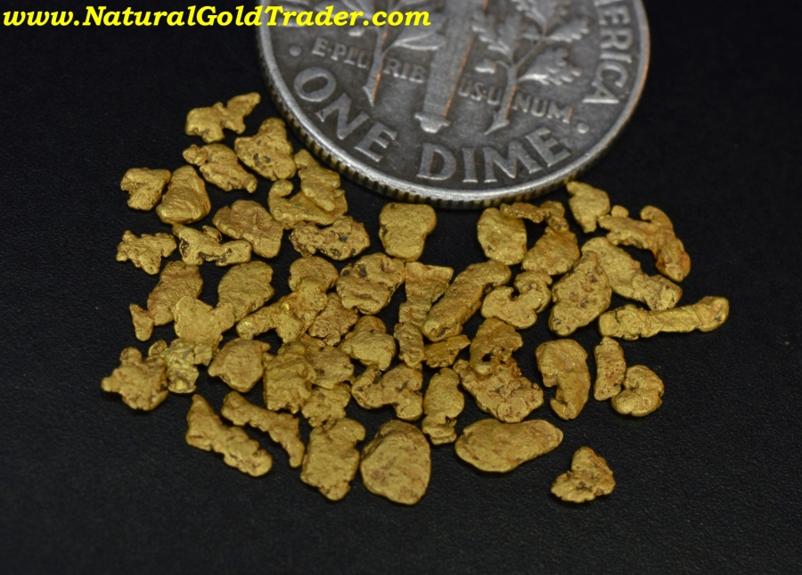 1.63 Grams of Alaska Gold Nuggets/Pickers