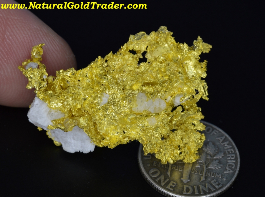 8.52 Gram Coloma California Crystallized Gold Specimen