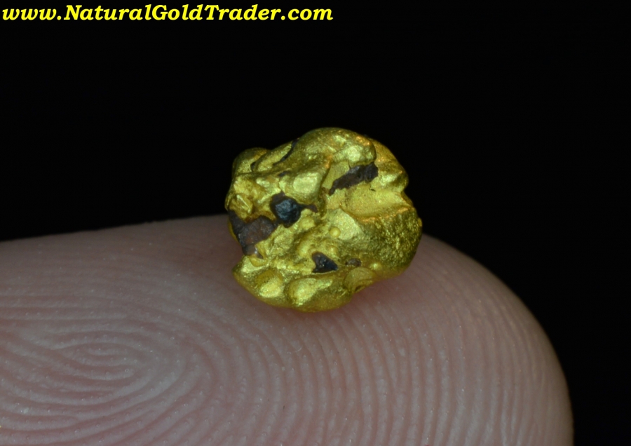 Australian Gold Nugget 0.37 grams Natural Native High Quality Hand