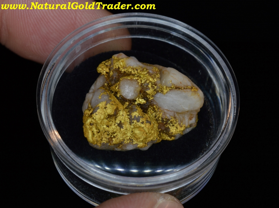 10.37 Gram Kingman Arizona Gold & Quartz Specimen