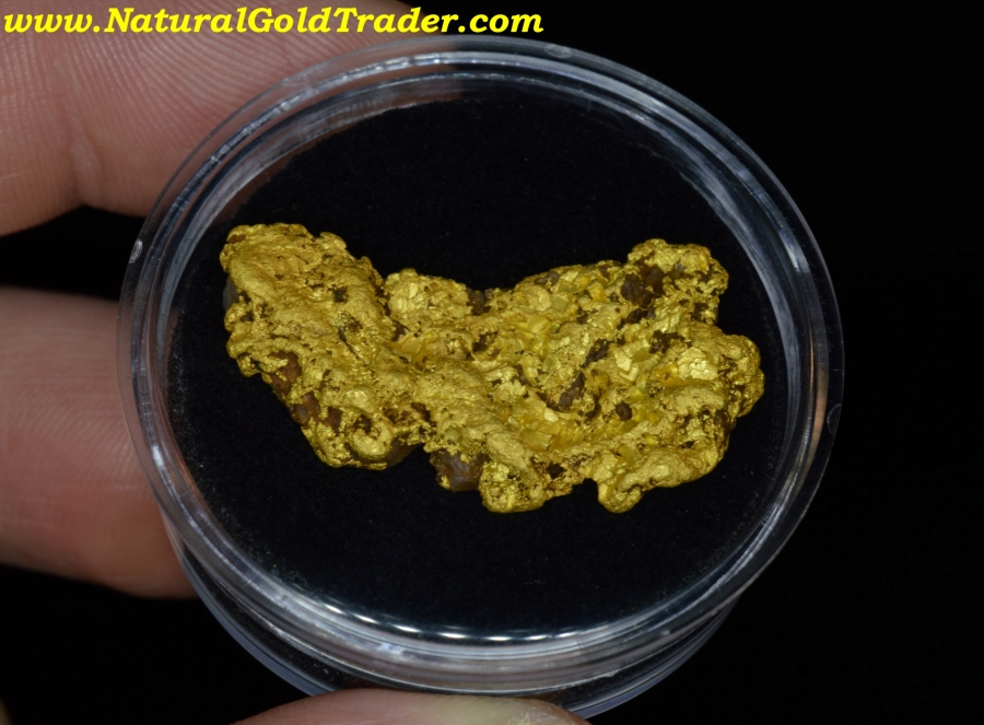 21.09 Gram Kingman Arizona Gold Nugget with Quartz