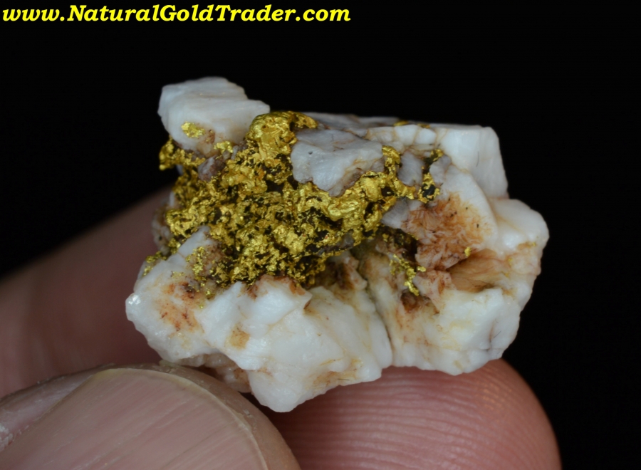 7.54 Gram El Dorado California Gold & Quartz Specimen