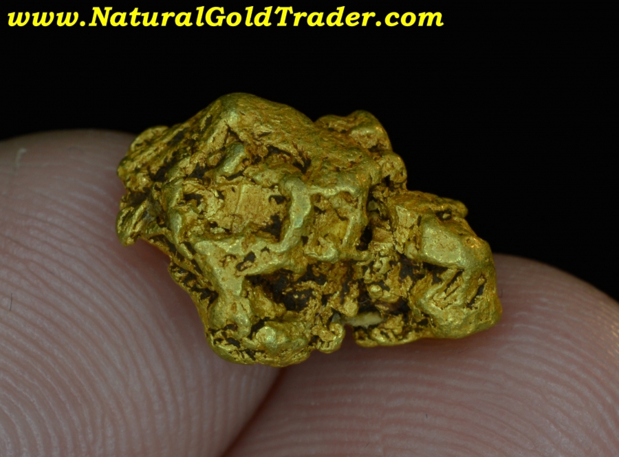 5.25 Gram Coloma California Natural Gold Nugget