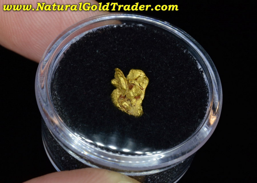 1.21 Gram Coloma California Gold Specimen