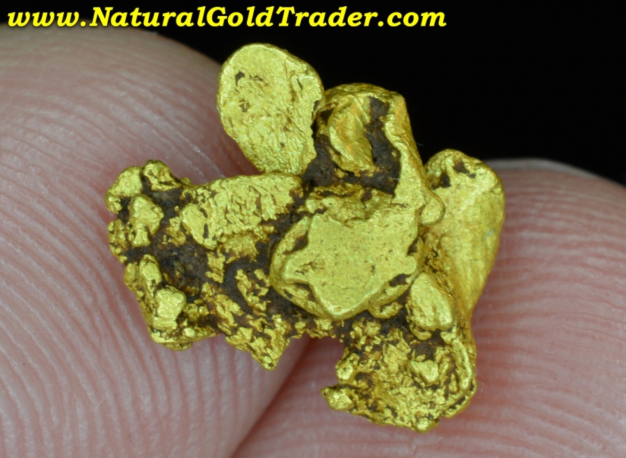 1.52 Gram Coloma California Gold Specimen