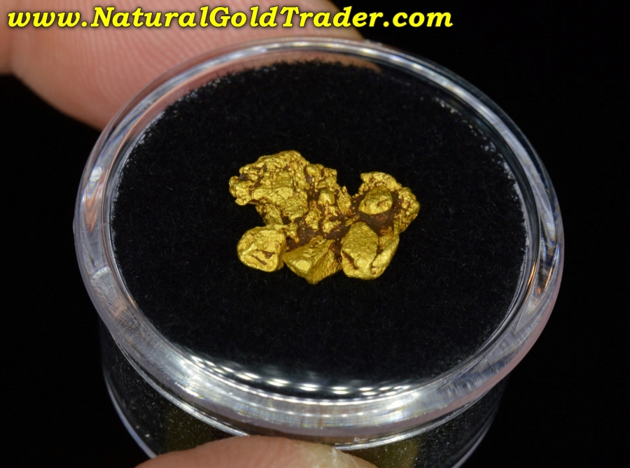 1.52 Gram Coloma California Gold Specimen