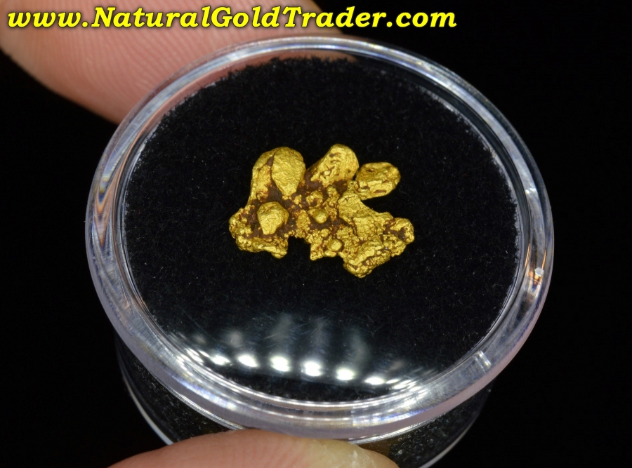 1.52 Gram Coloma California Gold Specimen
