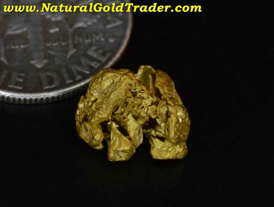 1.75 Gram Coloma California Crystallized Gold Specimen