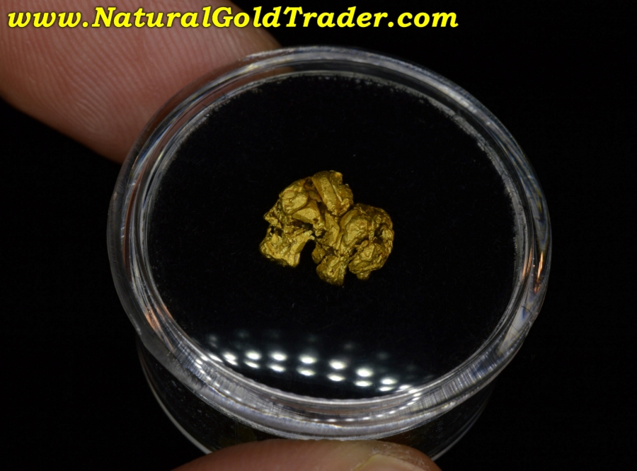 1.75 Gram Coloma California Crystallized Gold Specimen