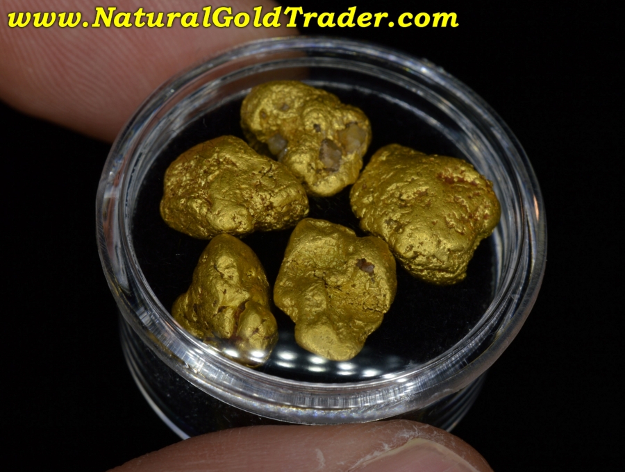 13.63 Grams (5) Coloma California Gold Nuggets