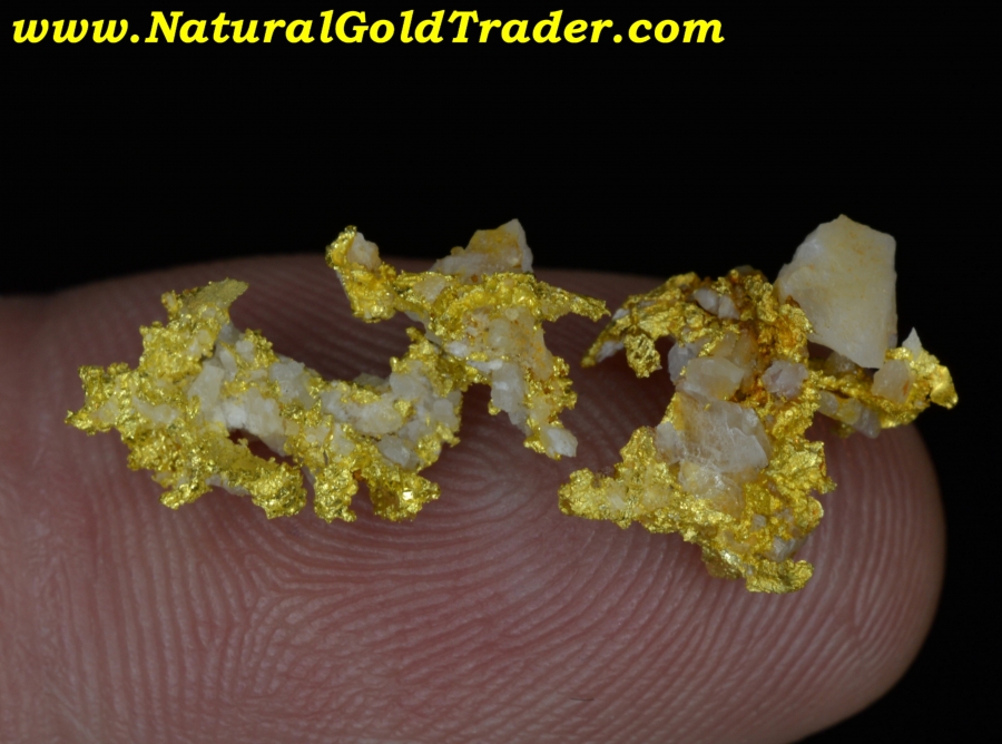 2.12 Grams (2) California Crystalline Gold Specimens