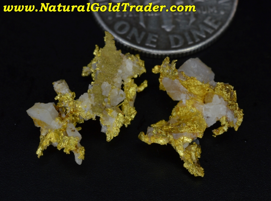 2.12 Grams (2) California Crystalline Gold Specimens