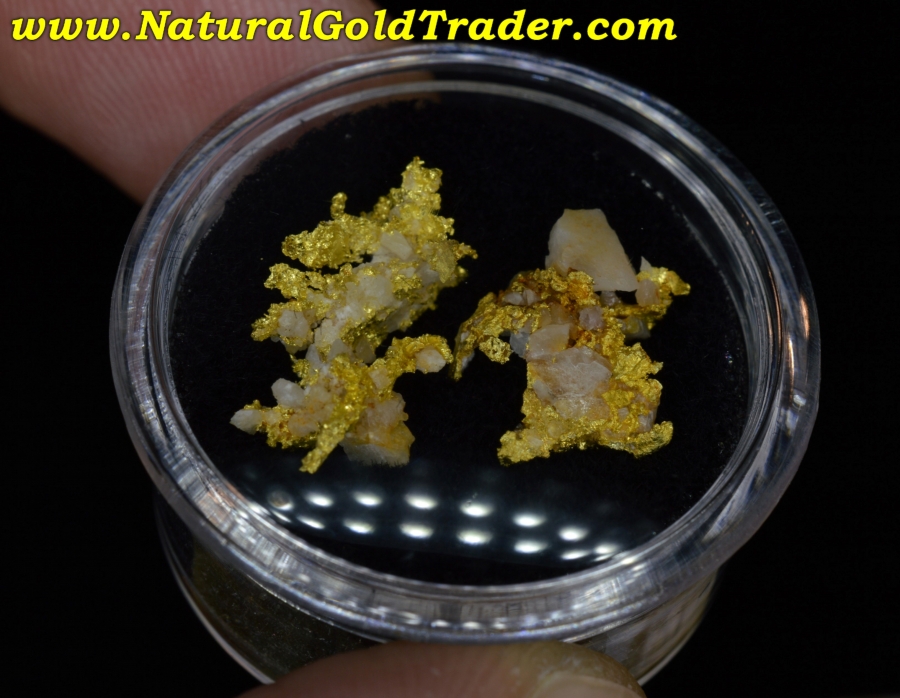 2.12 Grams (2) California Crystalline Gold Specimens