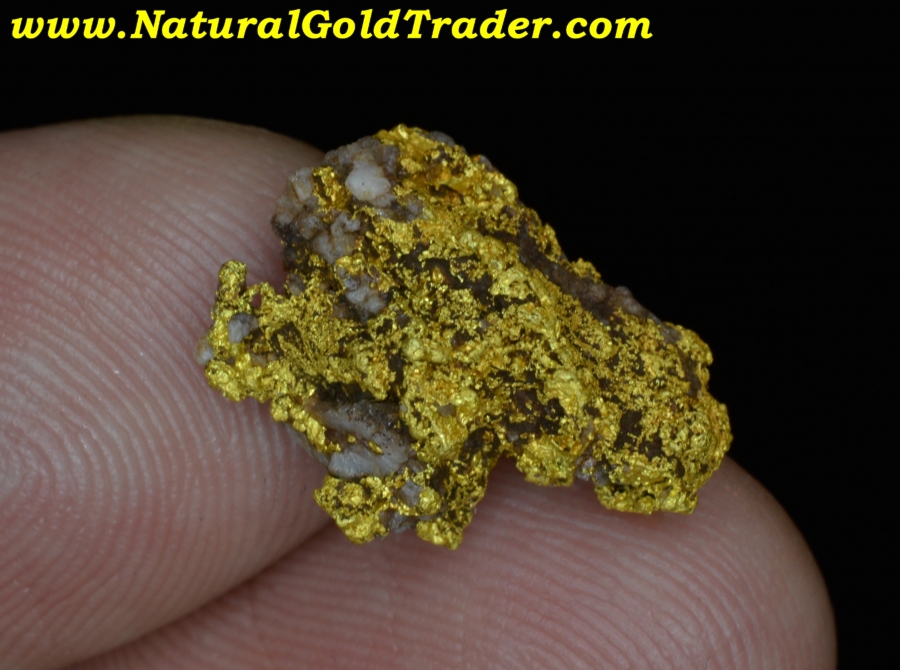4.40 Gram Coloma California Coarse Gold Specimen