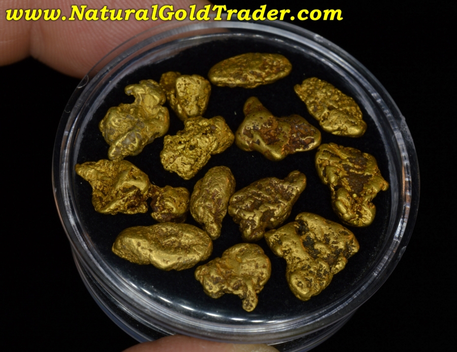 17.94 Grams (13) Murray Idaho Natural Gold Nuggets