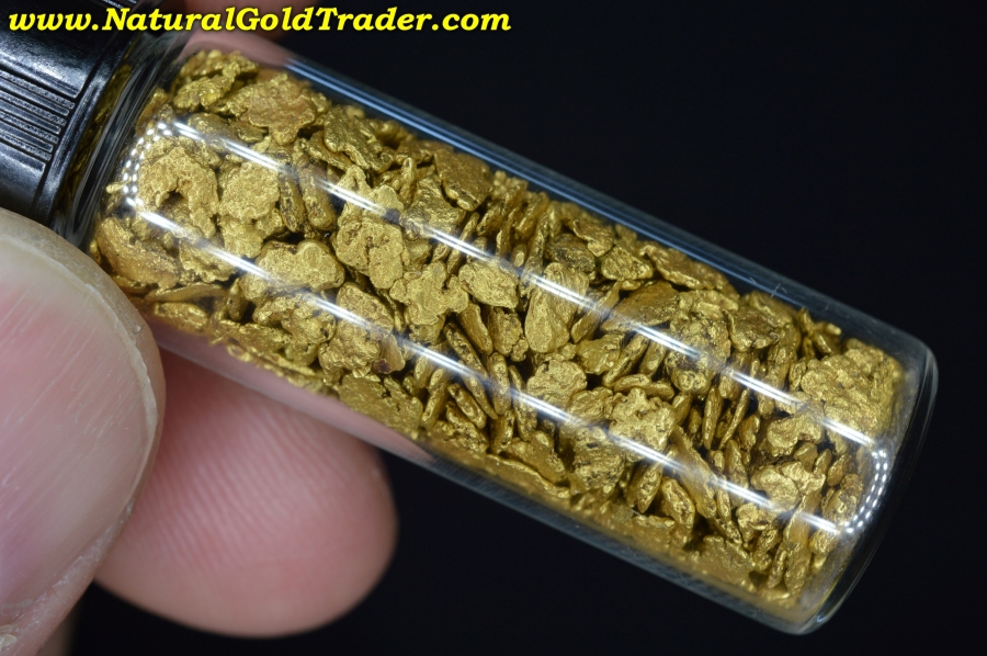 1 ozt. 31.1 Grams of Alaska Gold Nuggets