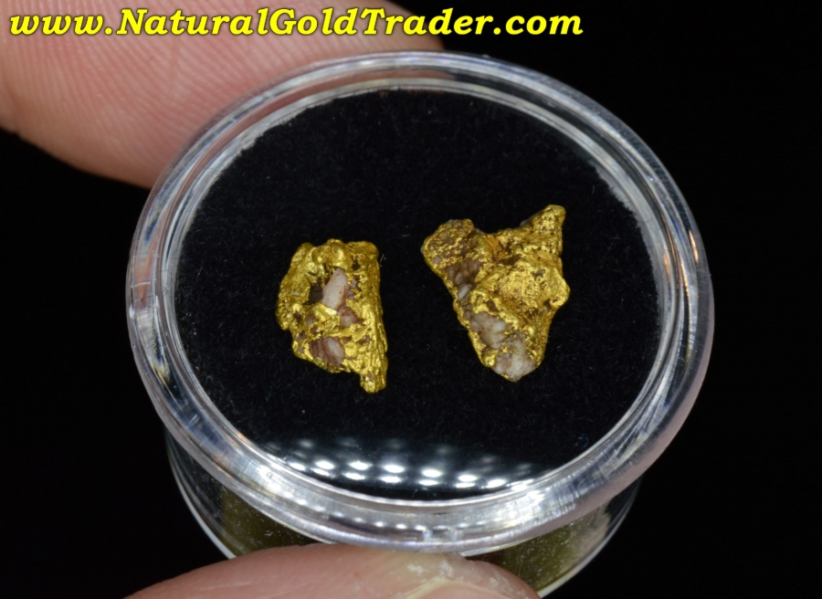 2.51 Grams (2) Coloma California Gold Nuggets with Quartz
