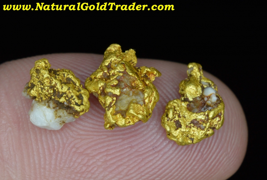 3.39 Grams (3) Coloma California Gold Specimens