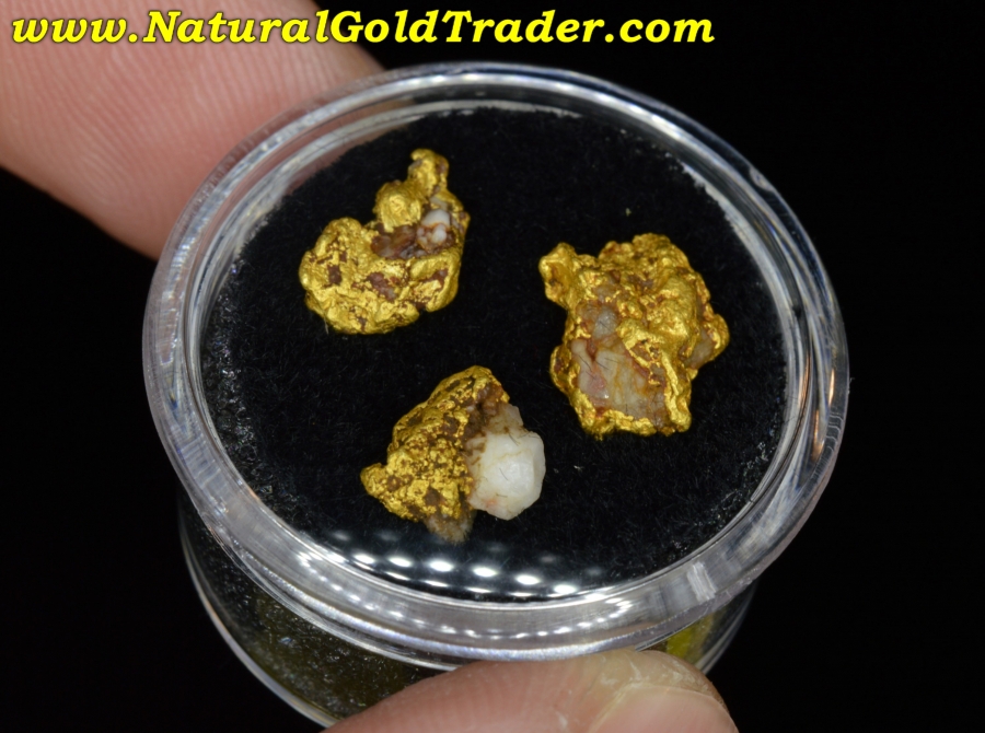3.39 Grams (3) Coloma California Gold Specimens