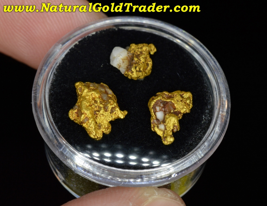 3.39 Grams (3) Coloma California Gold Specimens