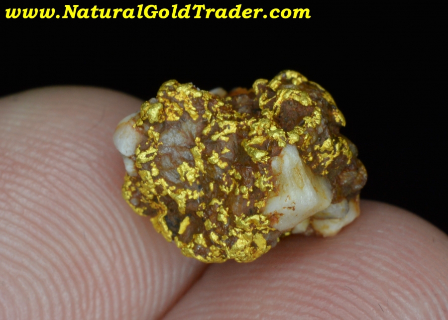 4.38 Gram Coloma California Gold & Quartz Specimen