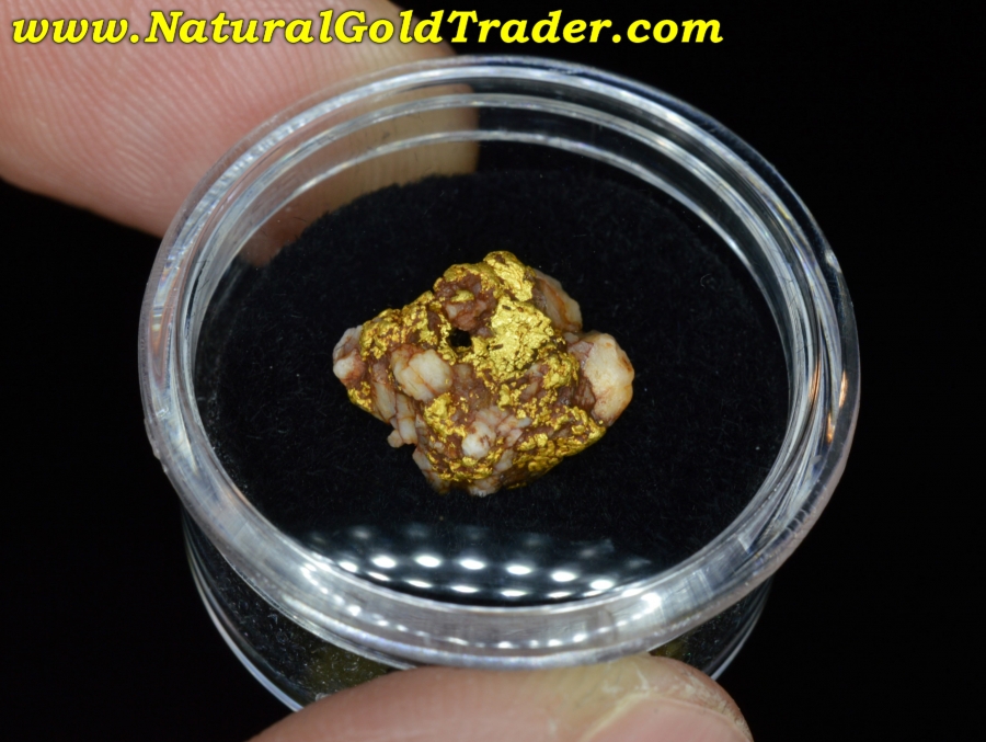 4.38 Gram Coloma California Gold & Quartz Specimen