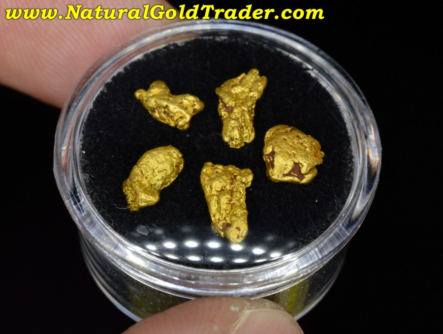 3.21 Grams (5) Coloma California Gold Nuggets