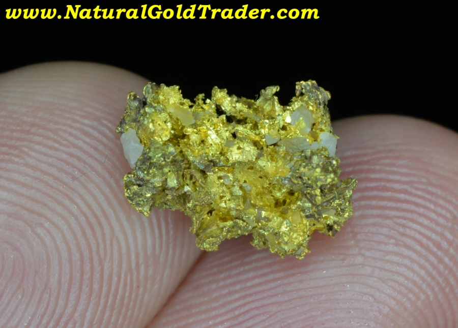 1.69 Gram Latrobe California Crystalline Gold Specimen