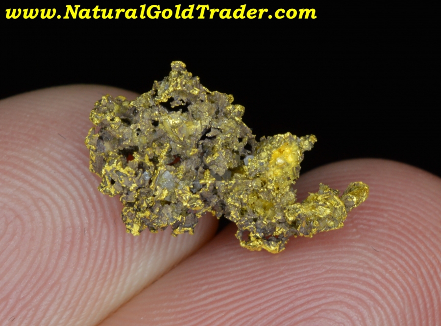 1.70 Gram Latrobe California Gold Specimen