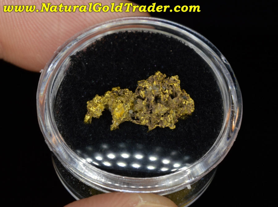 1.70 Gram Latrobe California Gold Specimen