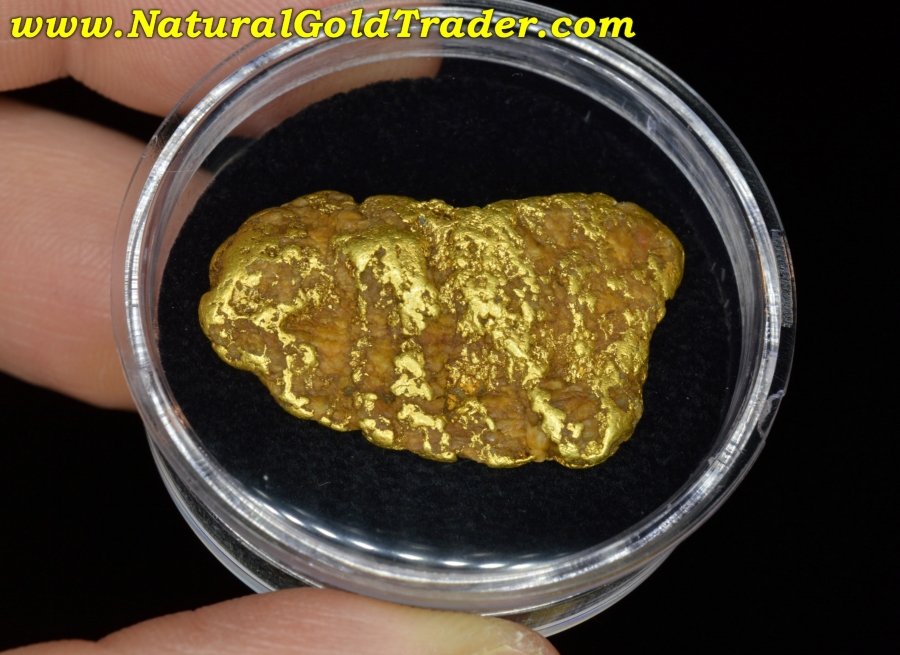 24.53 Gram Murray Idaho Natural Gold Nugget with Quartz
