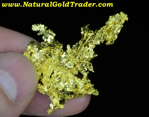 15.04 Gram Eagles Nest Mine California Gold Specimen