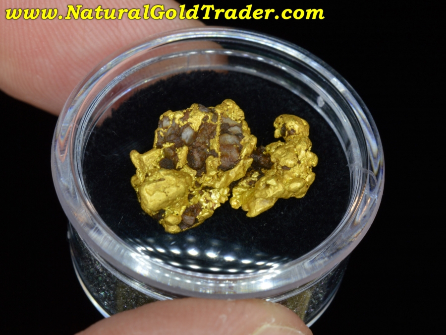 7.12 Gram Northern Nevada Gold Nugget with Quartz