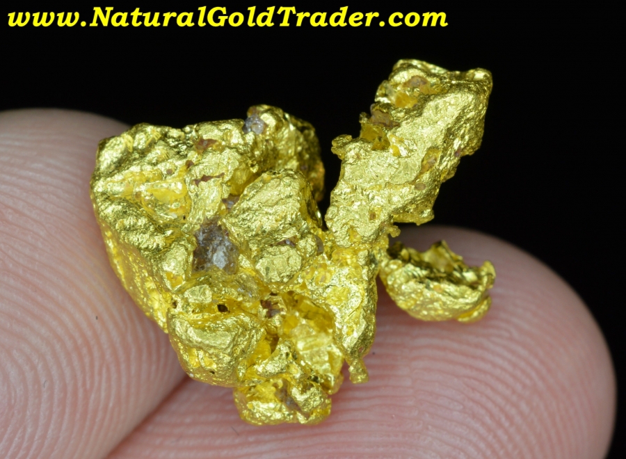 10.49 Gram Alta Floresta Brazil Crystallized Gold Specimen