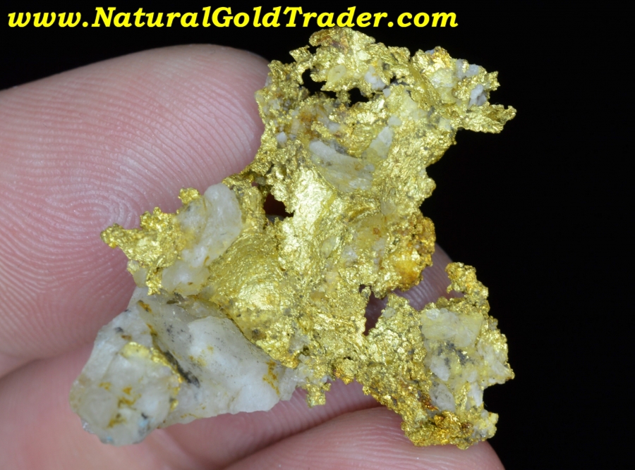 10.15 Gram 16 to 1 Gold Mine Allegany County Gold Specimen