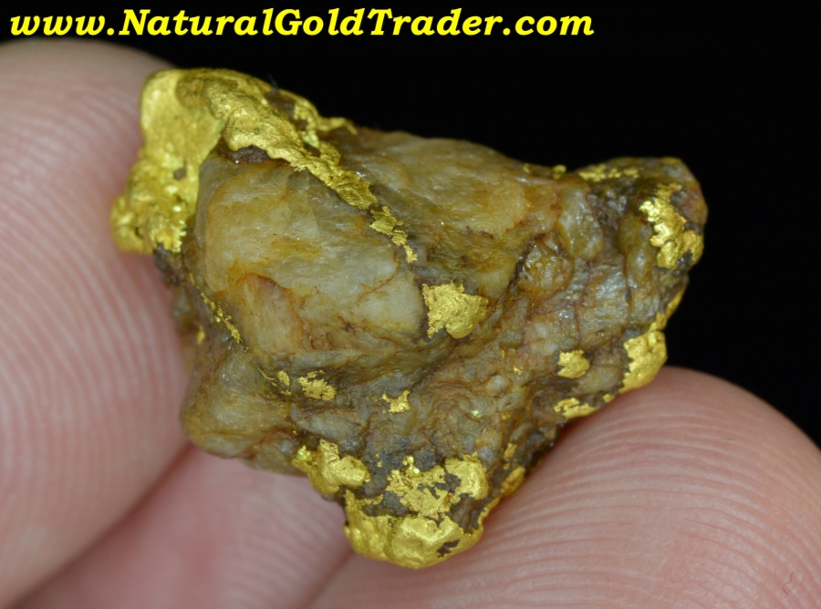 13.38 Gram Northern Nevada Gold & Quartz Specimen