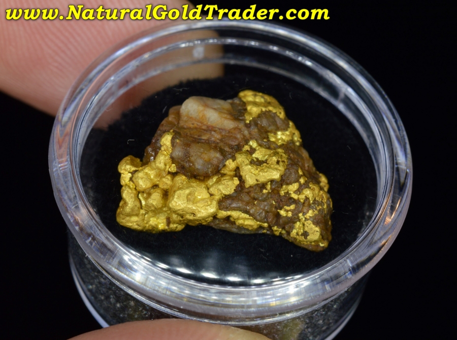 13.38 Gram Northern Nevada Gold & Quartz Specimen