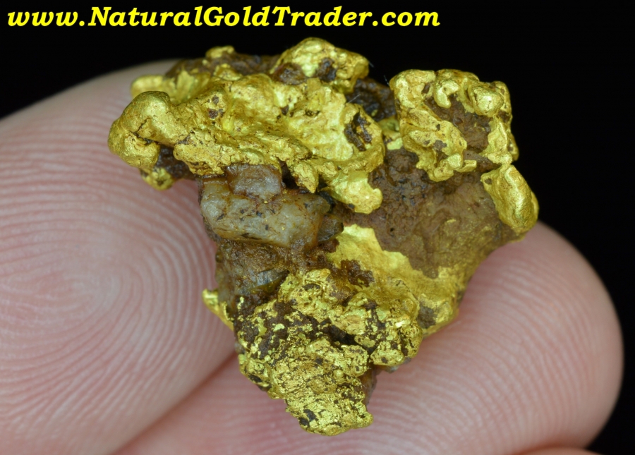 18.37 Gram Northern Nevada Unique Gold Nugget