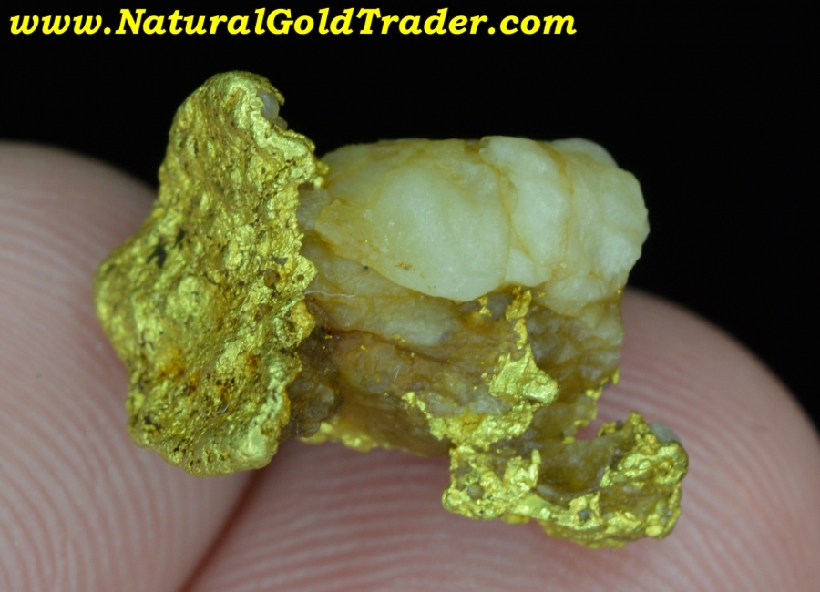 4.77 Gram Northern California Gold & Quartz Specimen