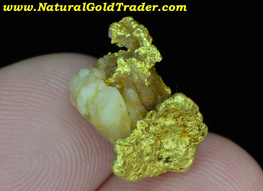 4.77 Gram Northern California Gold & Quartz Specimen