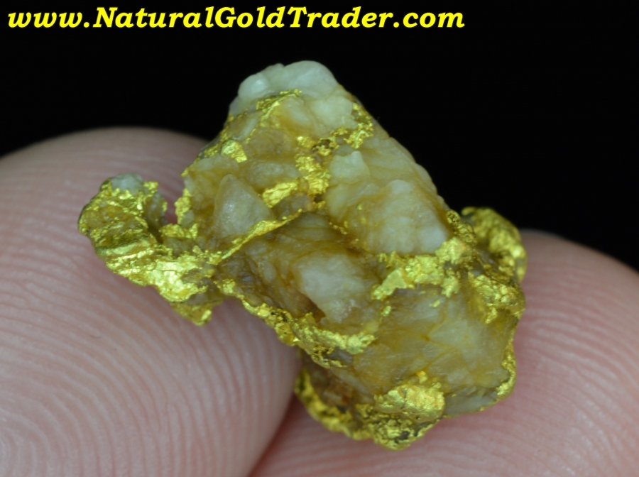 4.77 Gram Northern California Gold & Quartz Specimen
