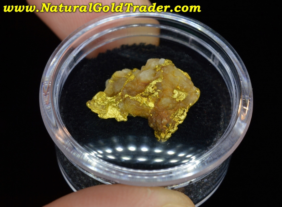 4.77 Gram Northern California Gold & Quartz Specimen