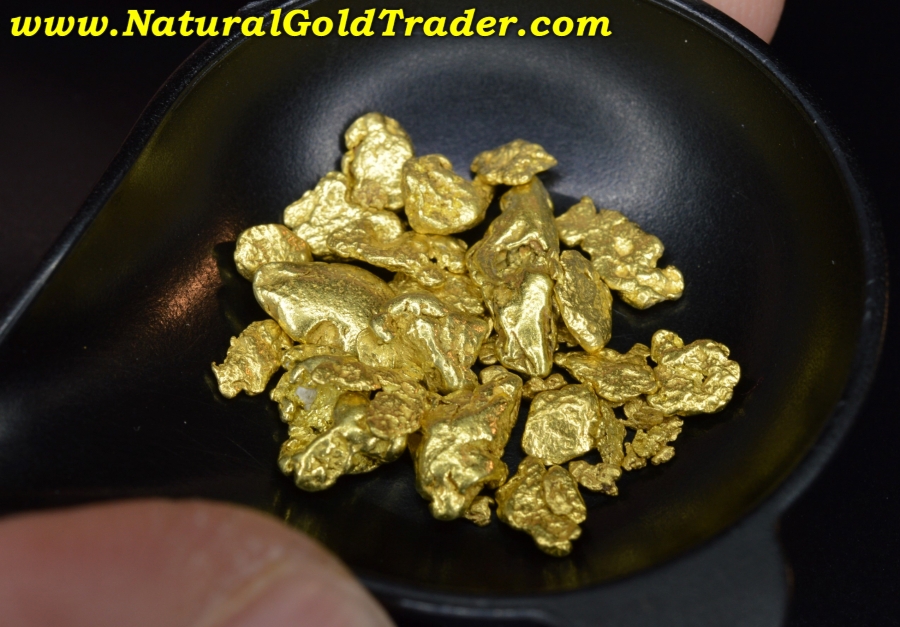 5.02 Grams Dahlonega Etowah River Gold Nuggets