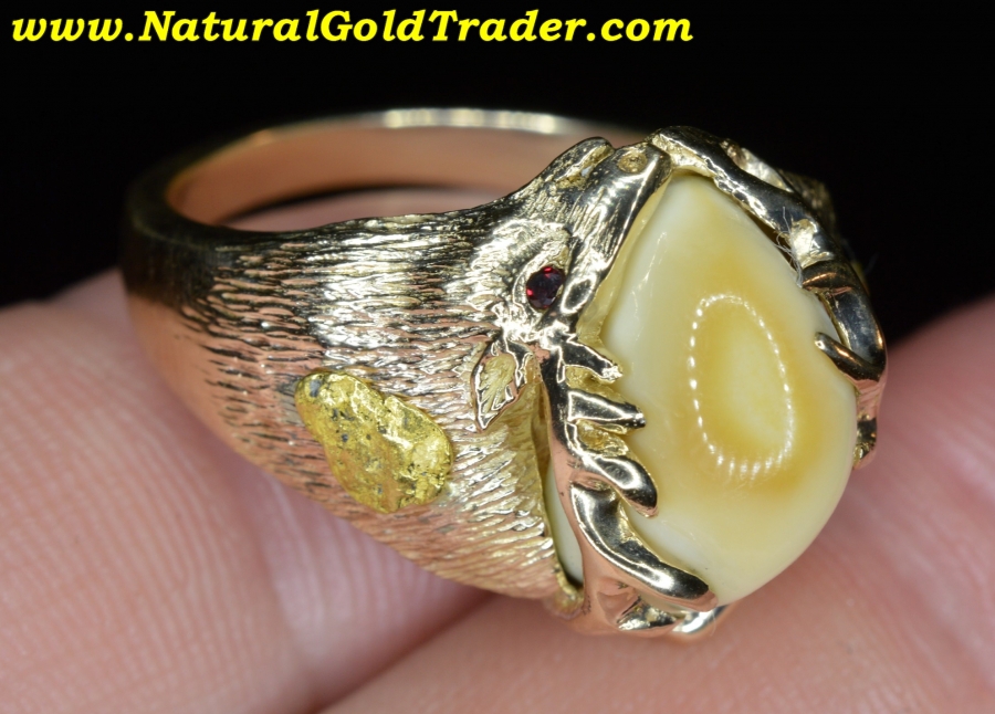11.73 Gram Solid 14K Alaska Gold Nuggets Elk Ivory Ring