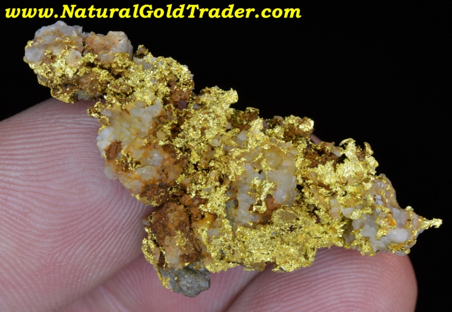 12.43 Gram Coloma California Gold Specimen