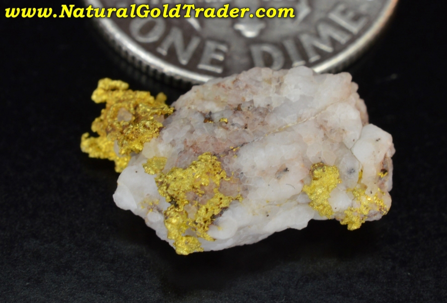 1.55 Gram Mariposa County California Gold & Quartz